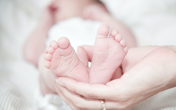 Terungkap Kronologi Penemuan Kerangka Bayi di Lahan Kosong Hasil inses Ayah dan Anak Kandung Banyumas