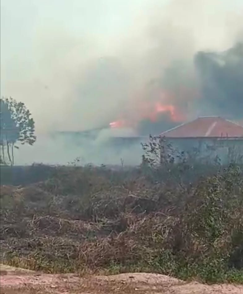 Kebakaran Lahan Gambut Makin Parah, 2 Rumah dan 2 Motor Ikut Terbakar