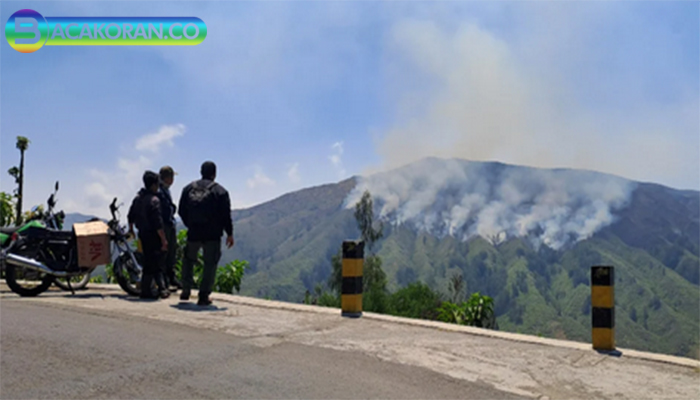 Prewedding Tanpa Izin, Bukit Teletubbies Bromo Terbakar Akibat Foto Flare