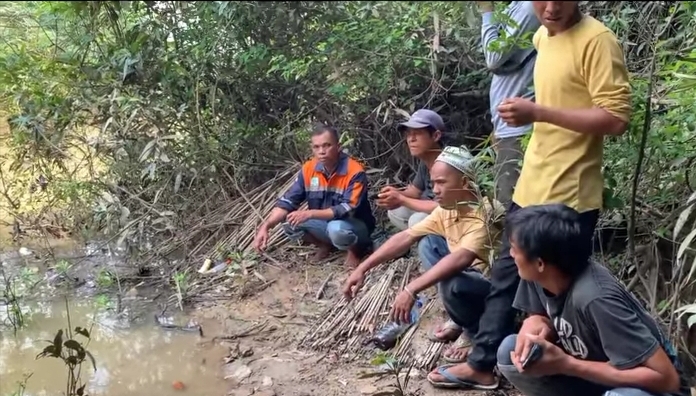 Ngeri Gaes Ada 50 Ekor Buaya Berkeliaran di Sungai Rambang, Warga Takut Mencari Ikan
