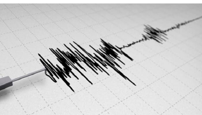 Gempa Bumi dengan Kekuatan 4,9 Terjadi di Maluku Tenggara Barat, BMKG Minta Warga Waspada