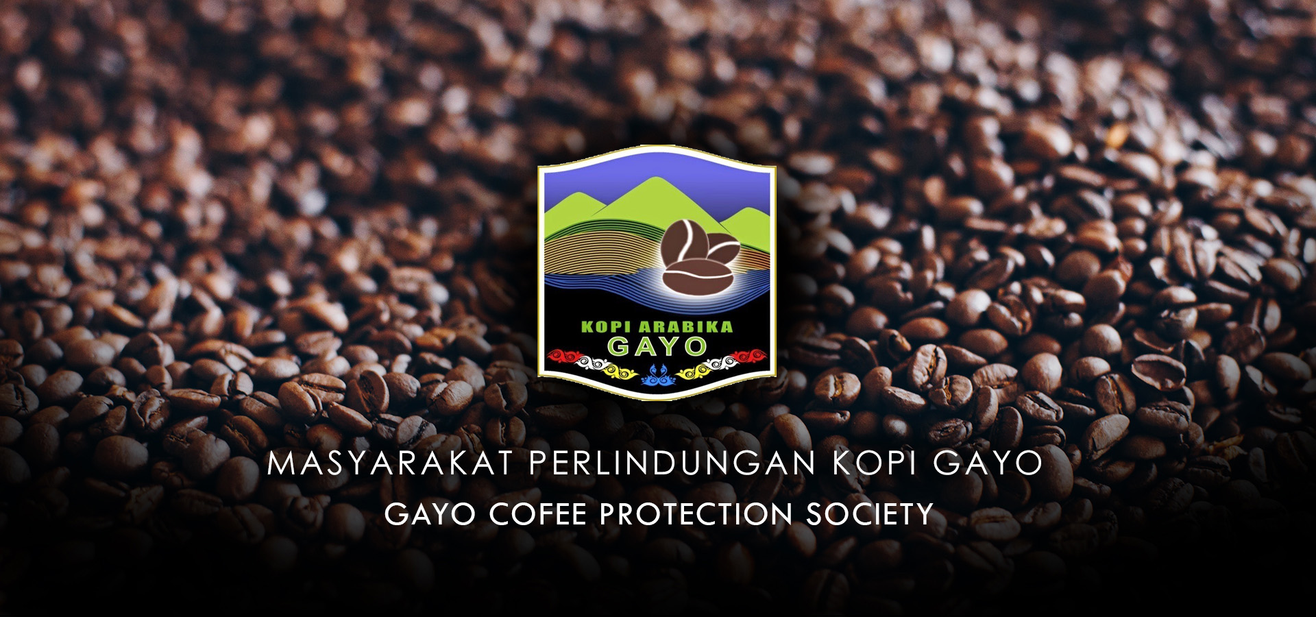 Tahukah Kamu, Jika Kopi Gayo Adalah Jenis Kopi Termahal di Dunia? Berikut Faktanya