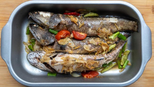 Manfaat Ikan Gabus, Sumber Protein Tinggi Bantu Maksimalkan Jaringan Otot, Cocok Untuk Ibu Habis Operasi Caesa